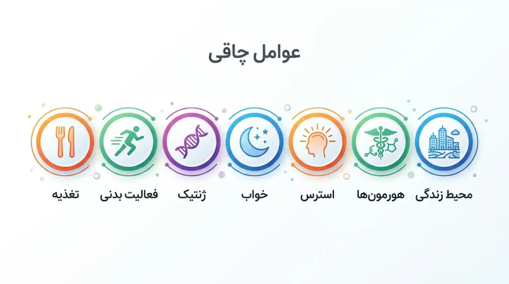  اینفوگرافیک عوامل موثر در چاقی