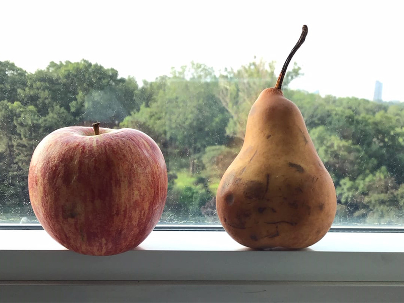 چاقی گلابی و سیبی شکل؛ کدام یک بهتر است