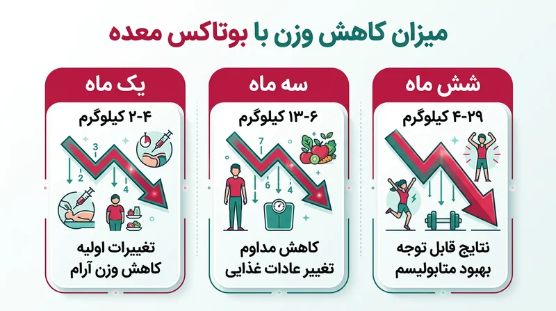 نمودار اینفوگرافیک میزان کاهش وزن با بوتاکس معده در ماه‌های مختلف